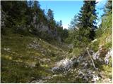 End of road on Vogar - Planina Viševnik